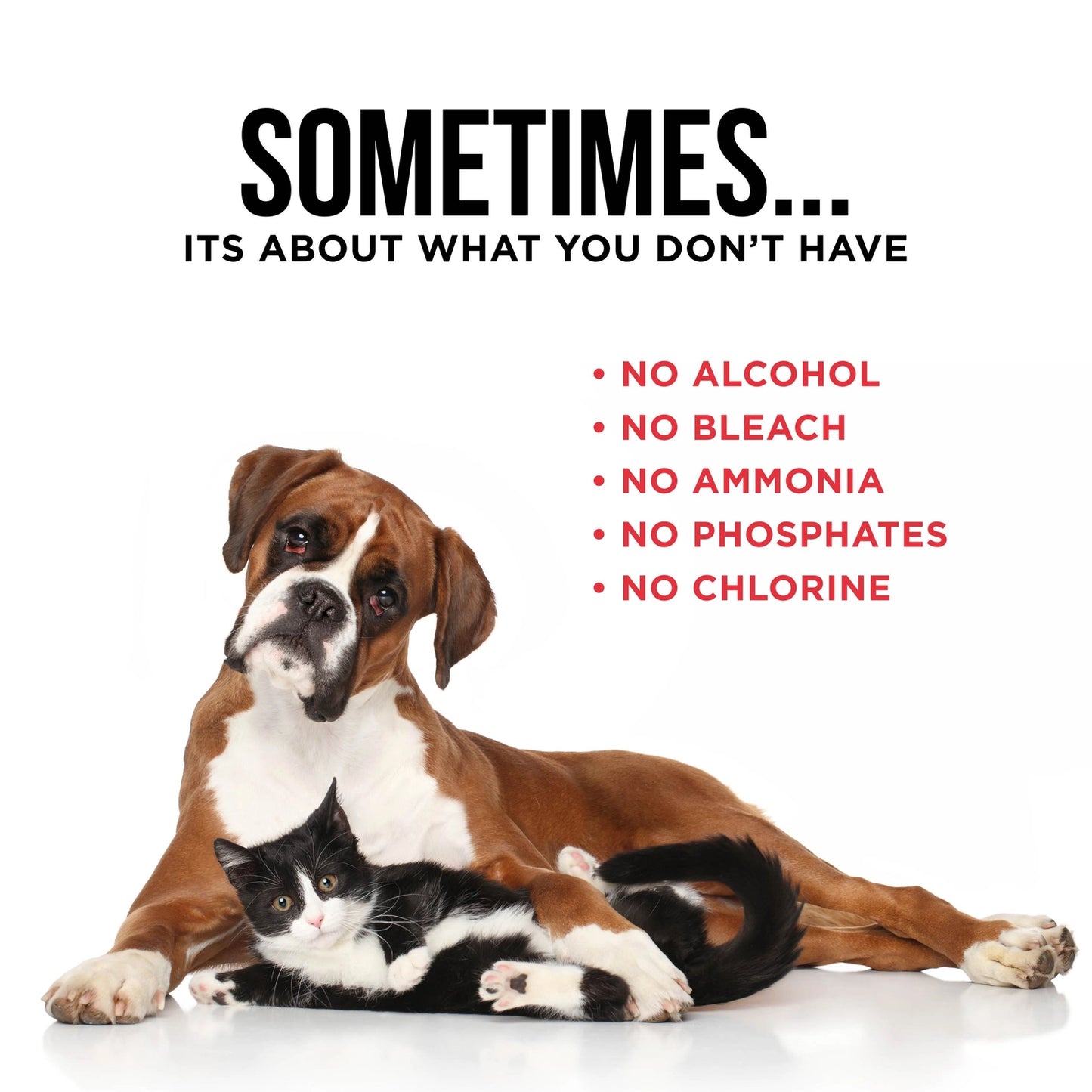 Pet Stain & Odor Remover