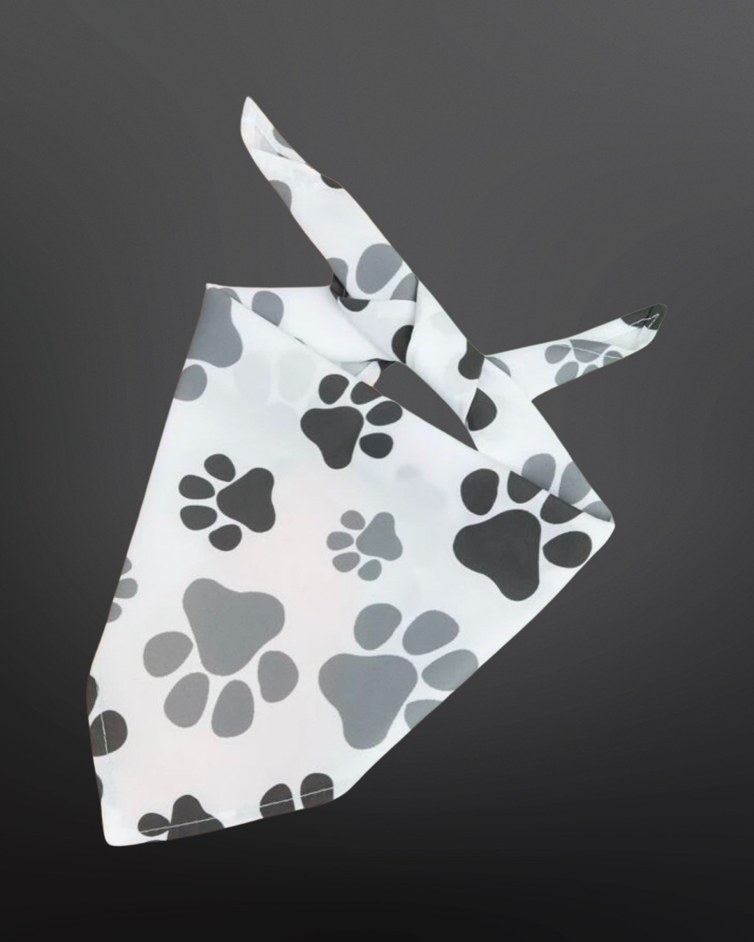 Pet Bandanna