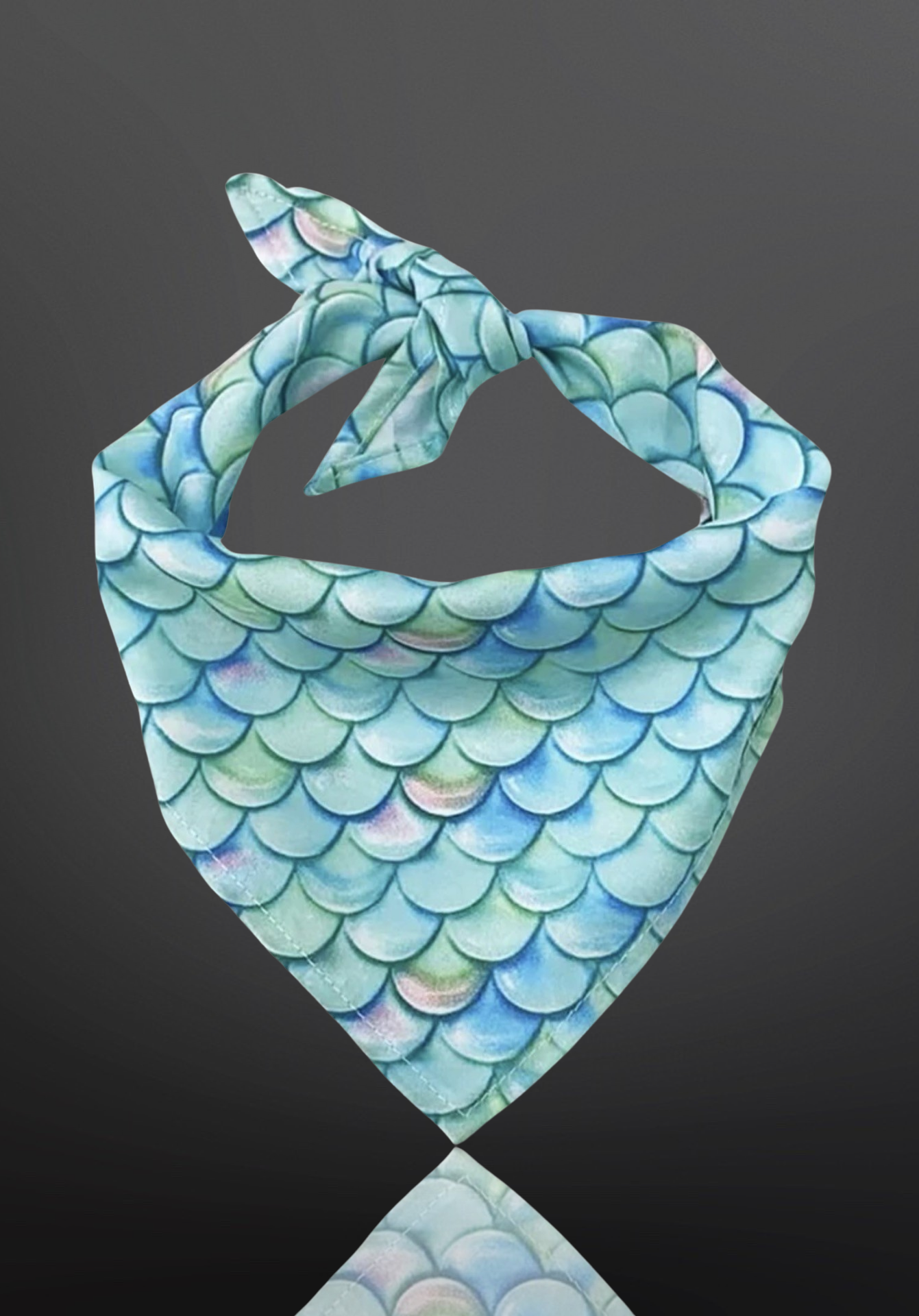 Pet Bandanna