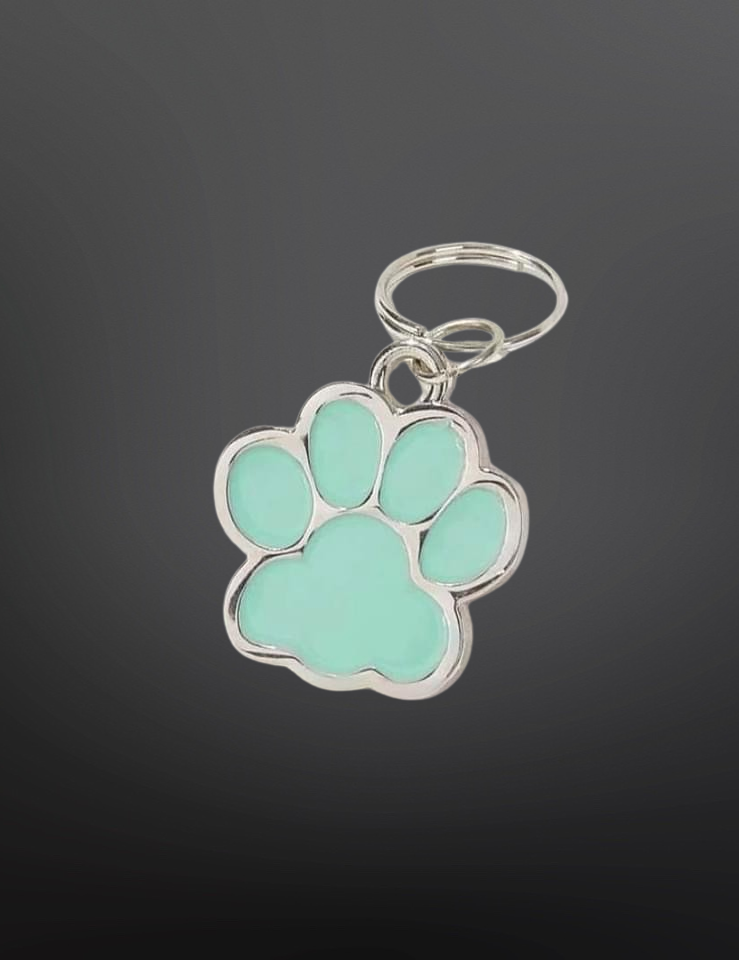 Pet Collar Tag
