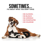 Pet Stain & Odor Remover